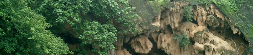 Luxury hotels in Salalah