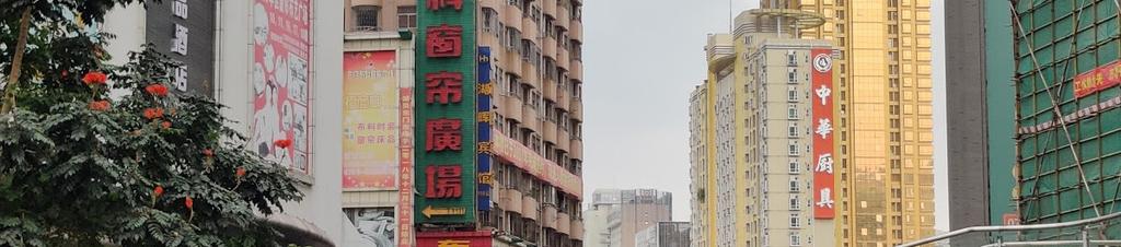 Luxury hotels in Shenzhen