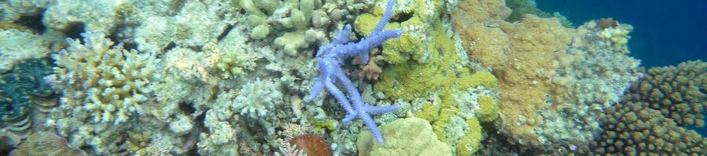 Luxury hotels in North West Australia