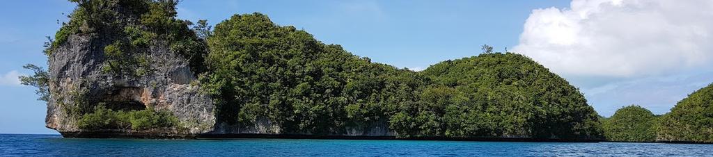 Luxury hotels in Palau