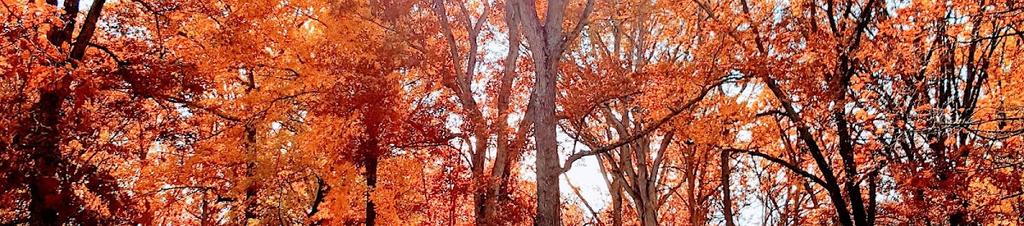 Luxury hotels in Ann Arbor Charter Township