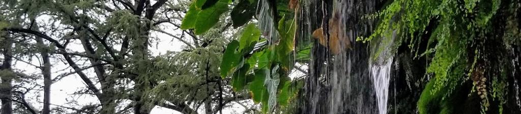 Luxury hotels in Spicewood