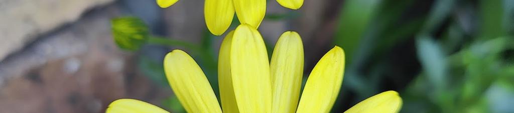 Luxury hotels in Toowong