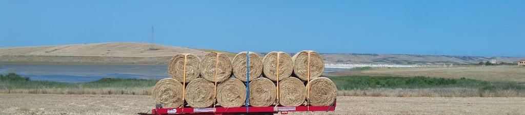 Luxury hotels in Paceco