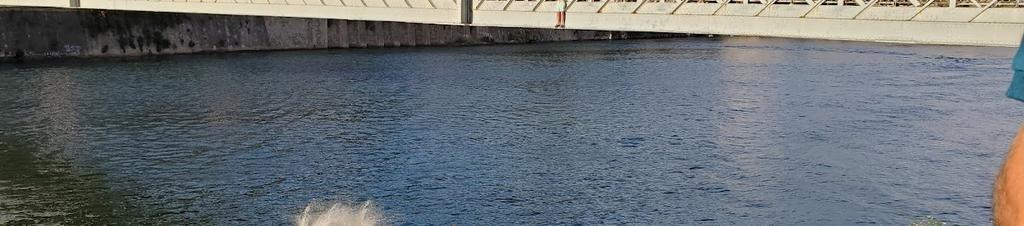 Luxury hotels in Porto