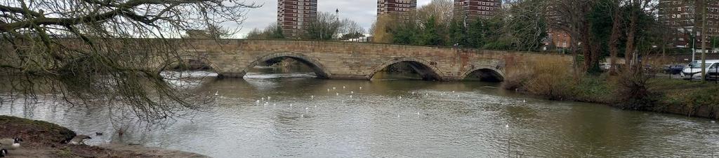 Luxury hotels in Tamworth