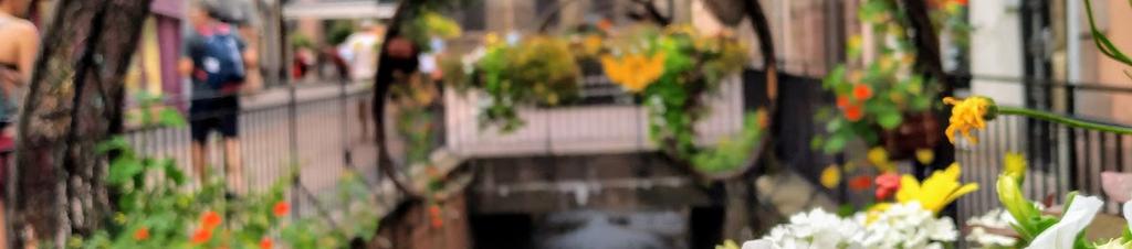 Luxury hotels in Colmar