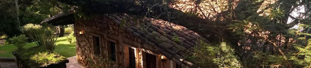 Luxury hotels in Jalisco