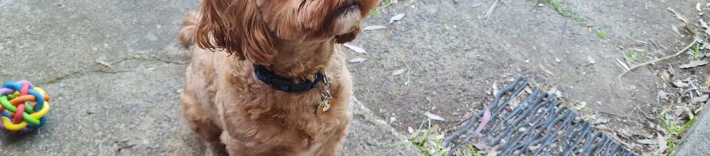 Luxury hotels in Norwest