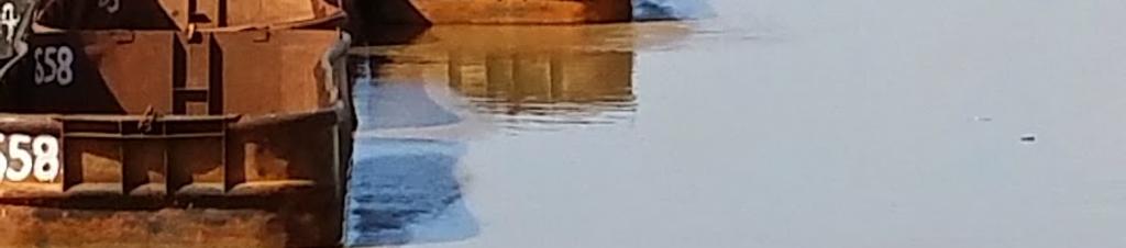 Luxury hotels in Skeldon