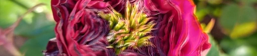 Luxury hotels in Manukau