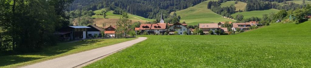 Luxury hotels in Wengen