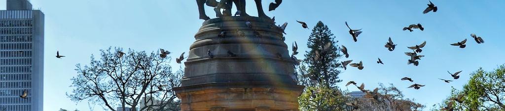 Luxury hotels in Cape Town