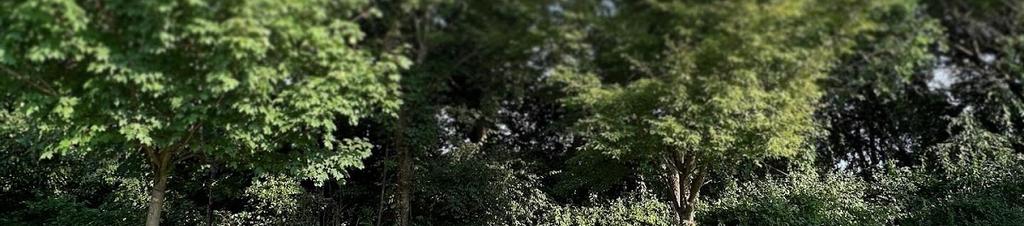 Luxury hotels in Mount Laurel