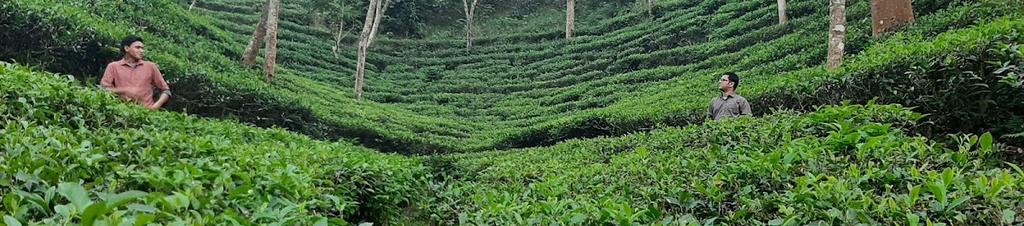 Luxury hotels in Sylhet Division