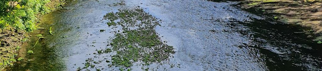 Luxury hotels in Donegal