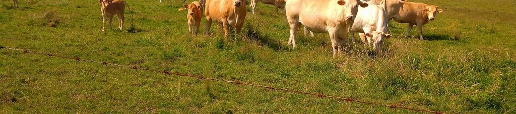 Luxury hotels in Montville