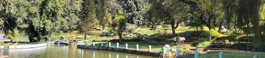 Luxury hotels in Coonoor