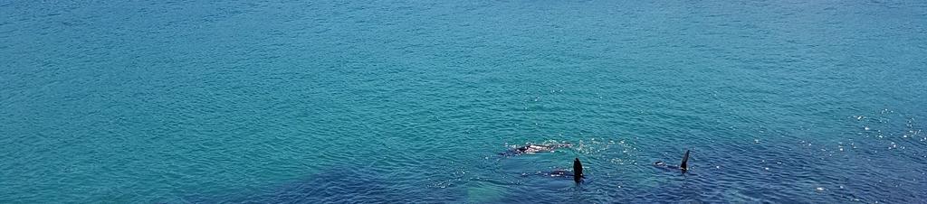 Luxury hotels in Narooma