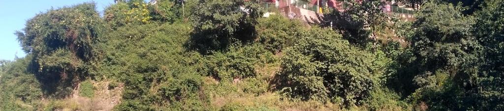 Luxury hotels in Parwanoo