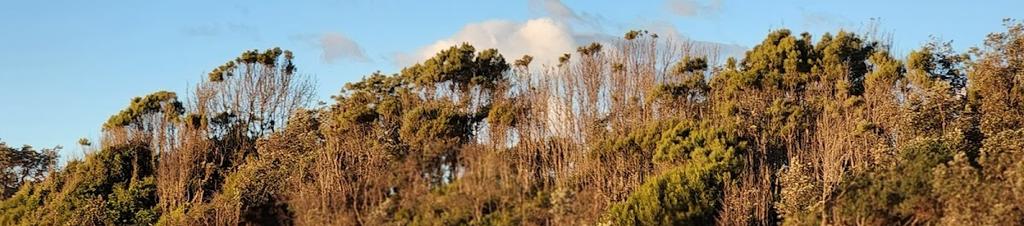 Luxury hotels in Ulladulla