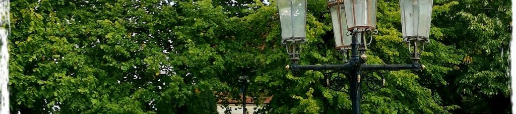 Luxury hotels in Ringwood