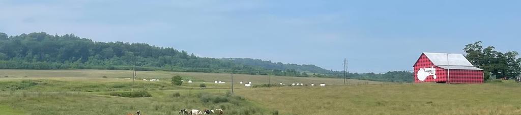 Luxury hotels in Rotterdam