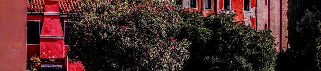 Luxury hotels in Venice