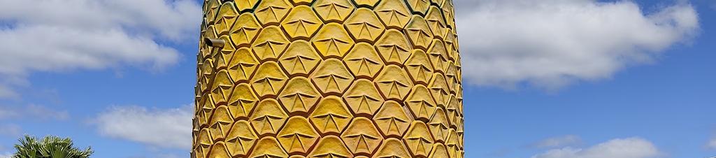 Luxury hotels in Bathurst