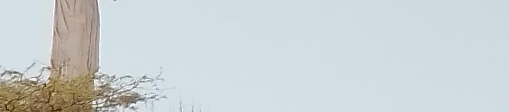 Luxury hotels in Tamarindo