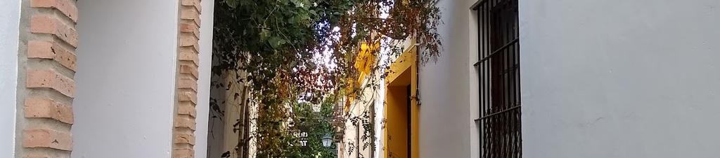 Luxury hotels in Seville