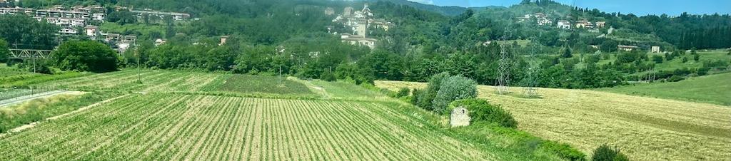 Luxury hotels in Ciliegi