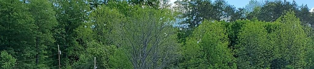 Luxury hotels in Vermont