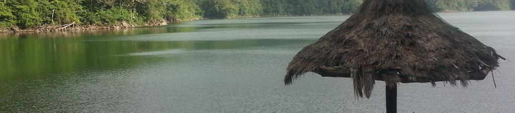 Luxury hotels in Negros Oriental