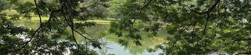 Luxury hotels in Perak