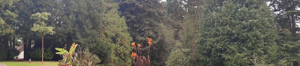 Luxury hotels in Newport