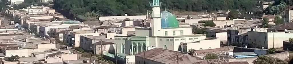 Luxury hotels in Eritrea