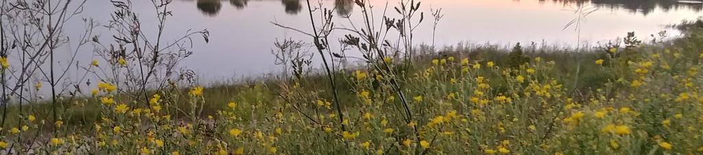 Luxury hotels in Katy