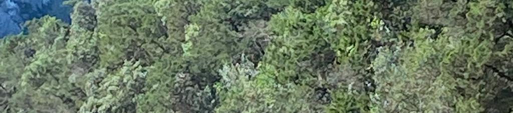 Luxury hotels in Sabaudia