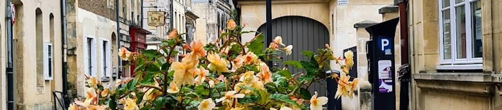 Luxury hotels in Normandy