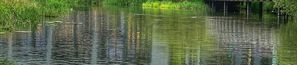 Luxury hotels in Chelmsford