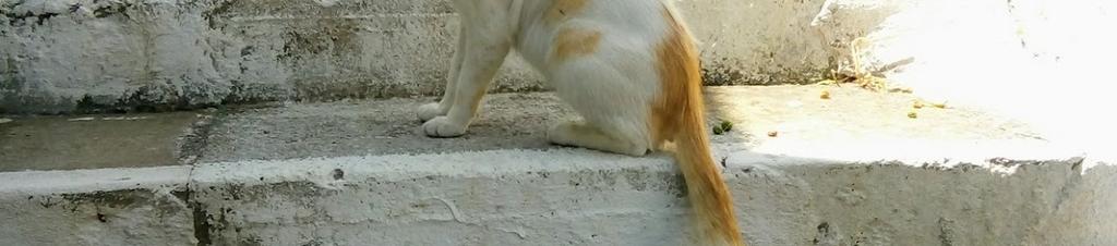 Luxury hotels in Livadia