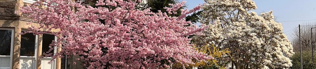 Luxury hotels in Westbury