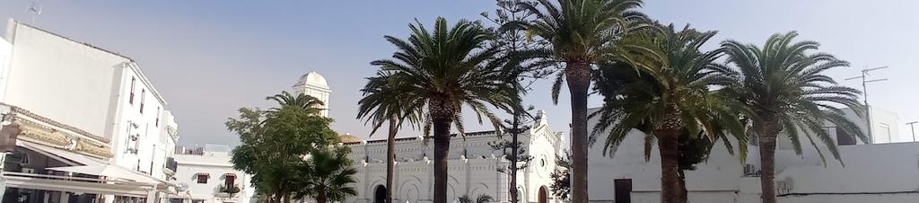 Luxury hotels in Conil de la Frontera