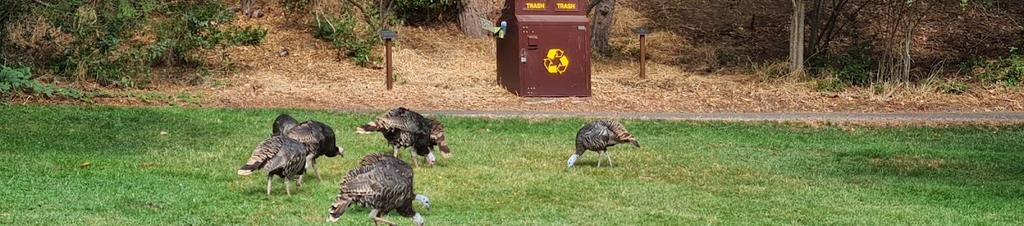 Luxury hotels in Ashland