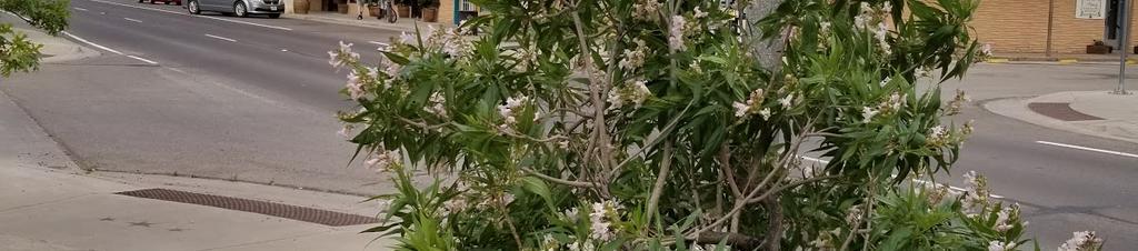 Luxury hotels in Alpine