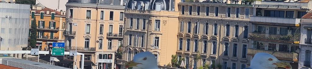 Luxury hotels in Cannes