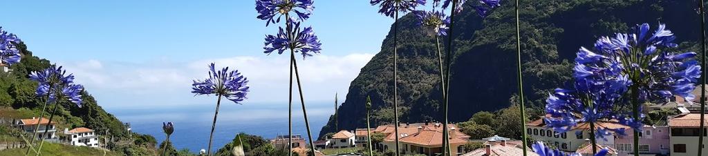 Luxury hotels in Boaventura