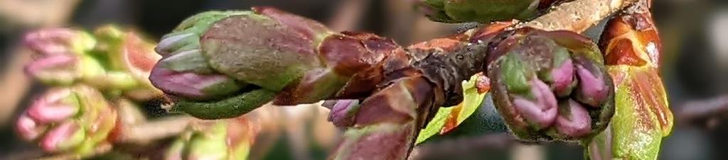 Luxury hotels in Medlow Bath