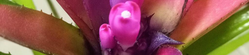 Luxury hotels in Capalaba